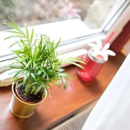 R38 - Artists Luxury 아파트 *