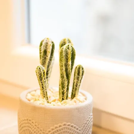 R38 - Artists Luxury 아파트